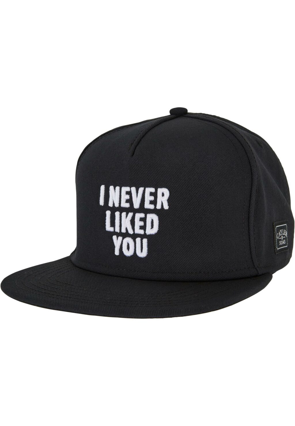 Never Liked You P Cap black one CS3097