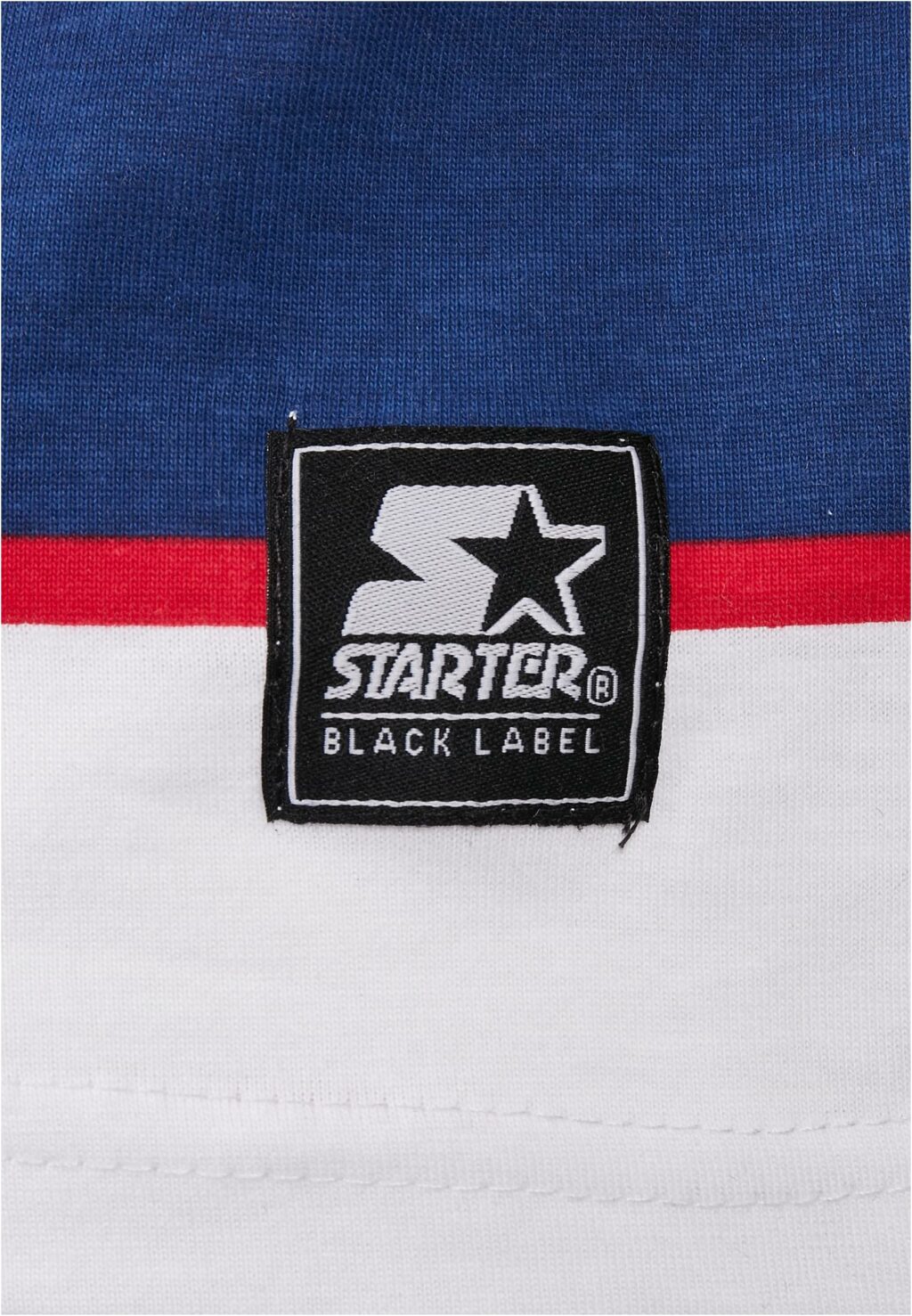 Starter Logo Striped Tee white/blue ST027