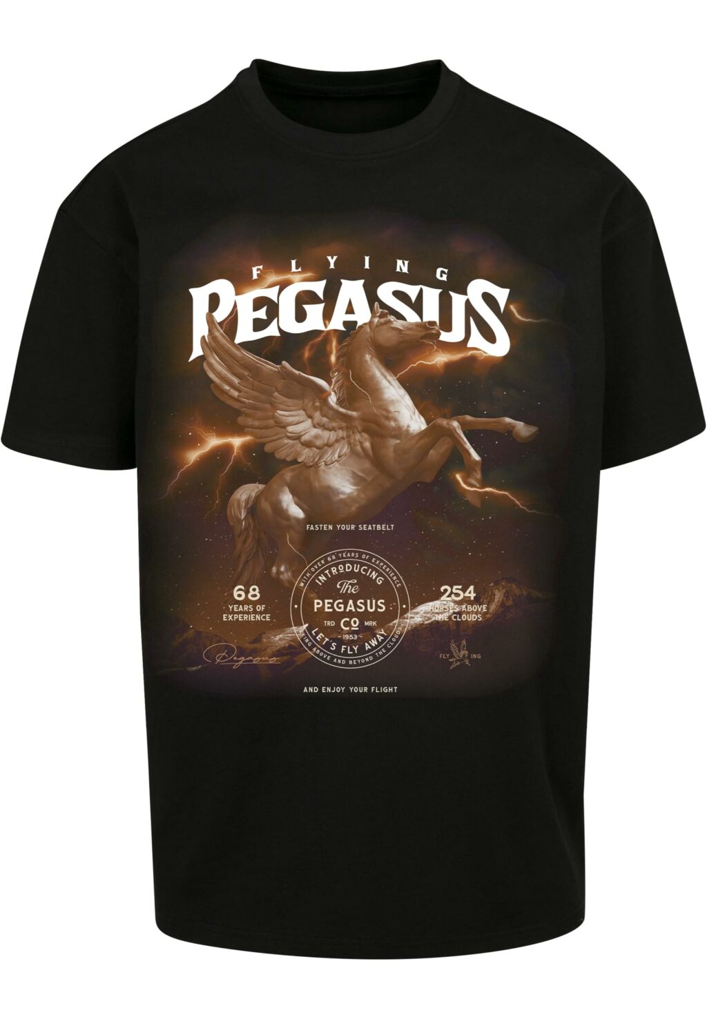 Pegasus Oversize Tee black MT1838