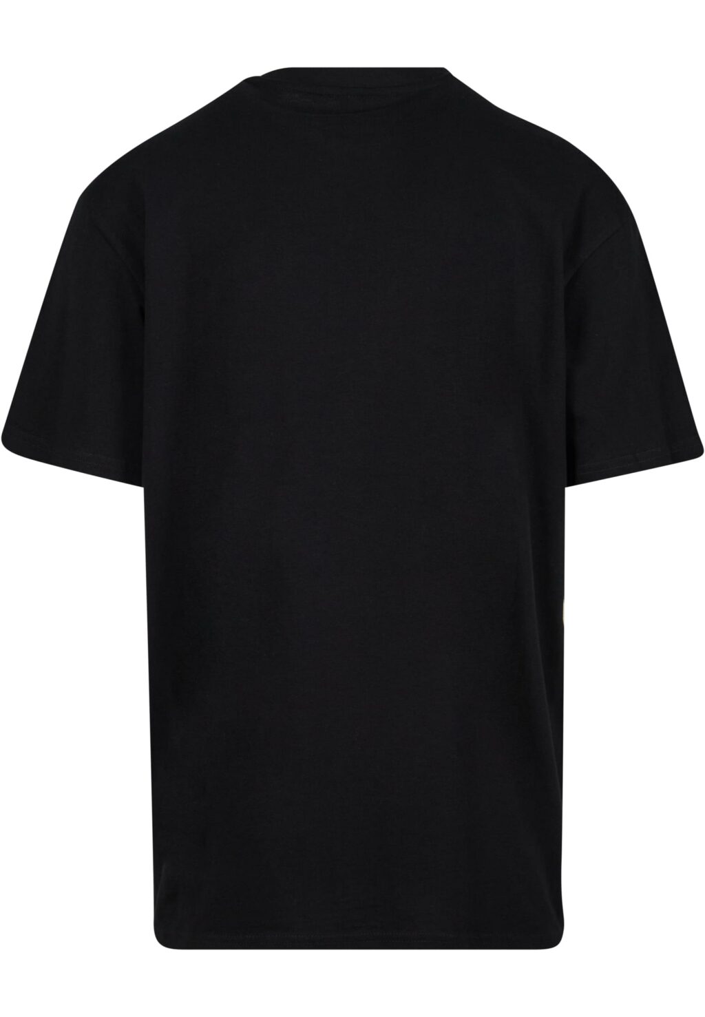 Rocawear T-Shirt black/white RWTS024T